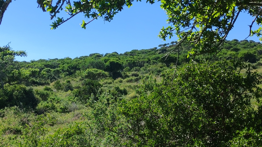 0 Bedroom Property for Sale in Somerset East Rural Eastern Cape